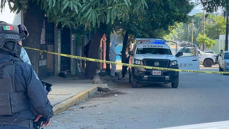 Cuerpos en cuatro estados: ¿dónde están las respuestas?
