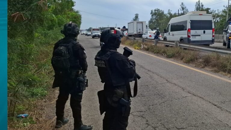 Carreteras: las reducciones no prueban el control