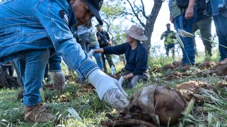 Diez fosas en Nayarit exigen más respuestas