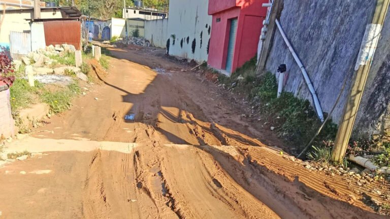 Huautla: vecinos organizan faena para reparar calle olvidada