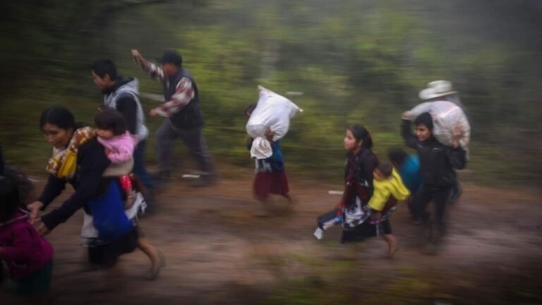Violencia en México obliga a miles de niños a desplazarse y el sistema educativo los ignora